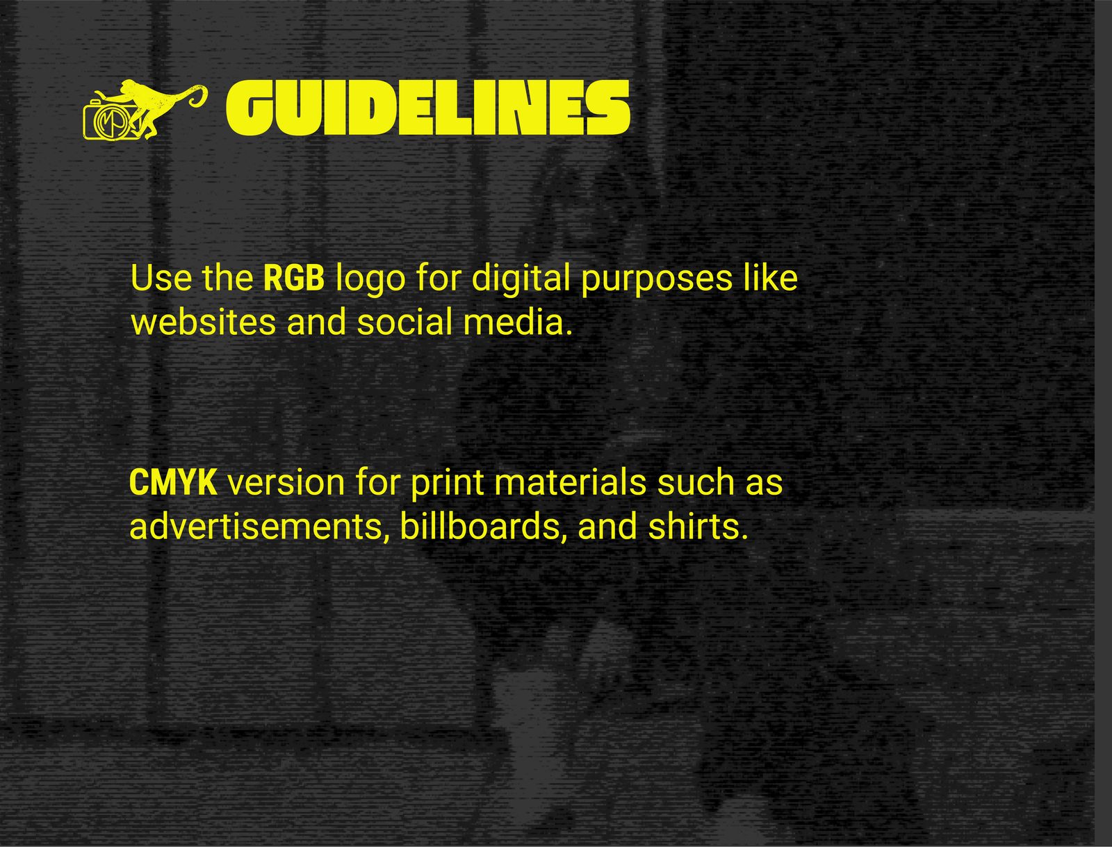 MONKEY PIC // Visual Chaos, Captured hero